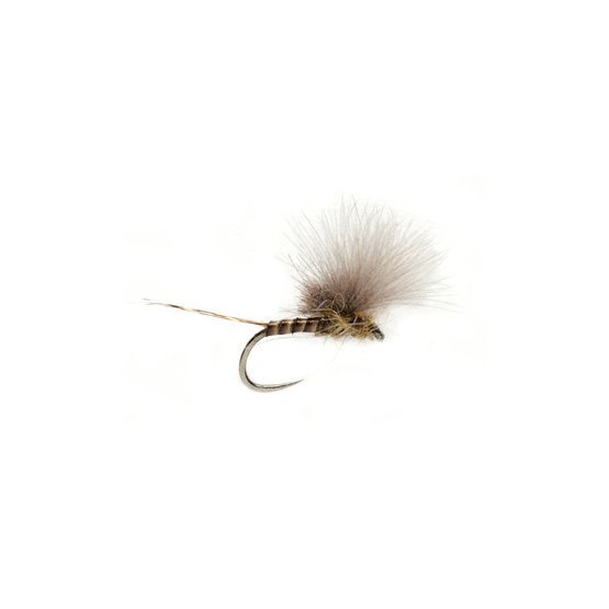 Mc Phail cdc olive quill