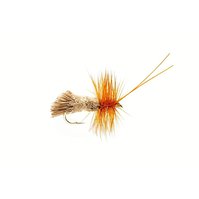 Sedge Goddard  Natural