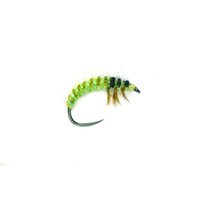 Oliver Edvards Ryacophila Larva - larva chrostíka - 12