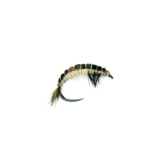 Oliver Edwards Hydropsyche larva chrostíka