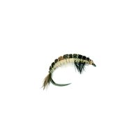 Oliver Edvards Hydropsyche Larva - larva chrostíka - 14