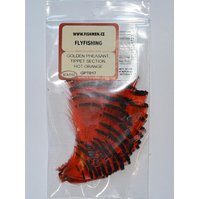 Wapsi Golden Pheasant Tippet Section - RED