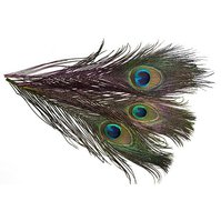 Peacock Eyes - peří z oka páva