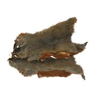 Whole Pine Squirrel Skin - vyčiněná kůže veverky